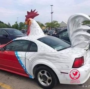 Meet your Posher, Richi